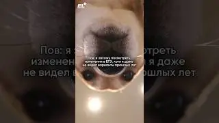 Жиза?😂 Подписывайся на канал, чтобы быть в курсе всех изменений и не завалить ЕГЭ! #егэленд #мем