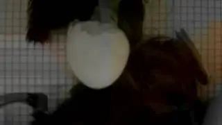 Live video