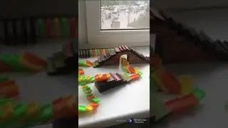 250 домино