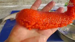 This is how you need to salt red caviar CORRECTLY, the best recipe of 2024!