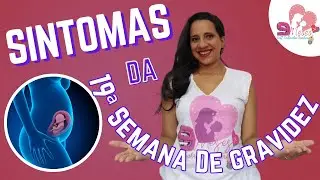 Os Segredos da 19ª Semana de Gestação