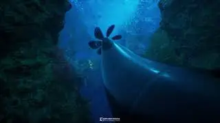 UE4 Underwater
