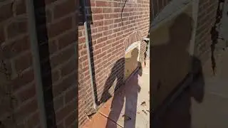 Duplex rehab progress