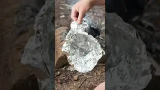 SIMPLE Way To Extract Pine Tar 🪵 #survival #bushcraft #camping