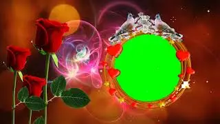 Wedding green screen background    2020
