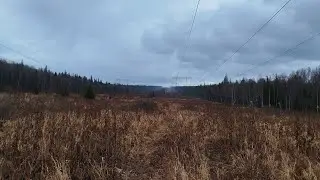 Прогулка по лесу.