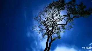Nightwish - The Heart Asks Pleasure First
