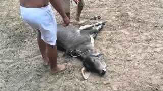 trabajo de llano 2