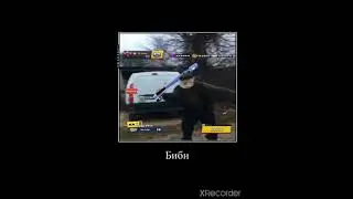 дед Биби