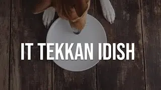 🐶 It tekkan idish 🍽 | Allohning mo'jizalari 28-son