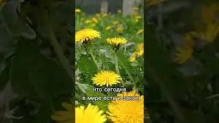 Закон для тех,кто не живёт по духу