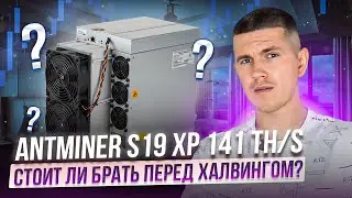 Antminer S19 XP 141 TH/s - Стоит ли брать перед халвингом?