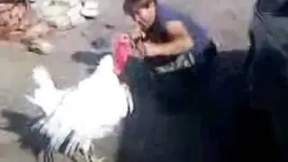 Мужик и индюк. A man and a turkey