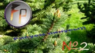 FP Show #2: Рисуем Пинусы!