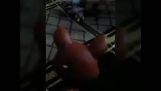 Прмвключения в ... 2часть-снимаем видеоблог