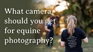 What kind of equipment do you need to get started in equine photography?
