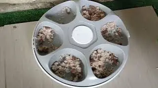Кошачьи дела