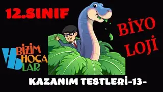 12. Sınıf Biyoloji Kazanım Testleri- 13 (2022 - 2023) fotosentez