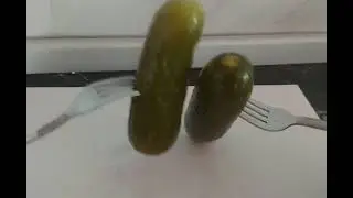 БИТВА ОГУРЦОВ