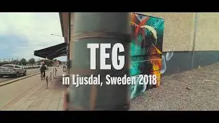 TEG