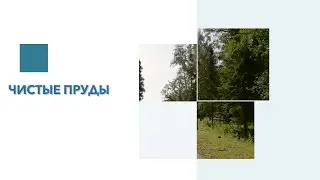 Чистые пруды
