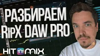 RIPX DAW PRO: БУДУЩЕЕ УЖЕ ЗДЕСЬ! РАЗДЕЛЕНИЕ НА СТЕМЫ И AI-РЕДАКТИРОВАНИЕ
