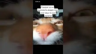 ок. попробую