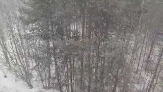Весна на болотах - 16.03.23