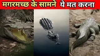 मगरमच्छ के सामने ये गलती मत करना।Don't make this mistake in front of a crocodile।#short
