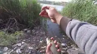 Супер!!! клев карася! Ереванское оз. Рыбалка в Армении.