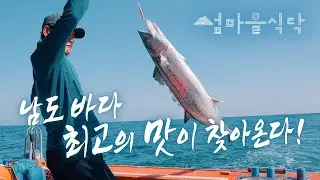 고흥 나로도 삼치 