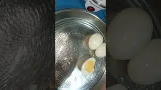 Egg Boiler #shorts