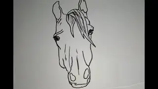 Como Dibujar Un Caballo de Frente