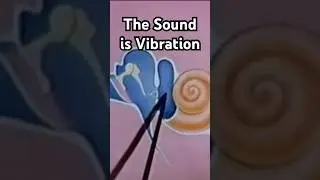 Sound is Vibration - Part 2 #frequency  #vibration  #music  #shorts