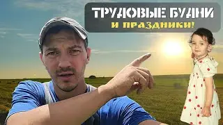 Доработка колодца I Убираем сено I Ловим пчёл I Отмечаем праздники