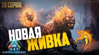 Наконец взял все дополнения, тестируем новую живку. Стрим №19 на сервере ZmeYEditioN