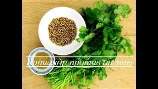 Кориандр