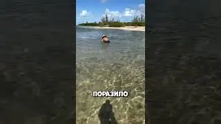 Он пообещал поймать акулу голыми руками… но всё пошло не по плану 