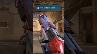 Cursed Random Skins on VALORANT in Level 1 | Protocol Phantom 