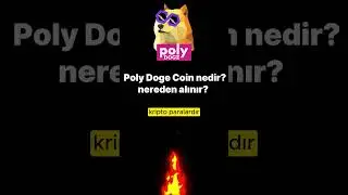 polydoge coin nedir - polydoge coin nereden alınır