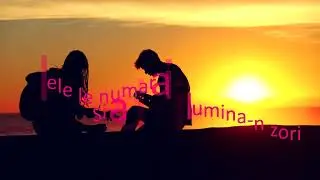 COMPACT - Numai tu