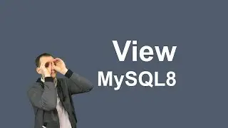 20. MySQL 8 View views