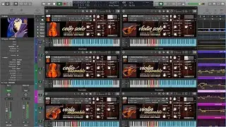 Brotherly Compassion - Solo and Ensemble Strings - Samplemodeling