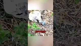 Bikers Find HUMAN REMAINS In The Woods 😳 Cred: ​⁠
