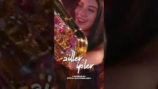 #zillerveipler