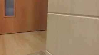 Как напугать кота!