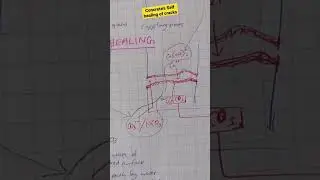 self healing of cracks in concrete