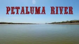 Kayaking The Entire Petaluma River (4k)