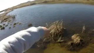 Жор щуки. Снова браконьеры.