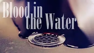 walking dead // blood in the water